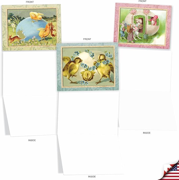 The Best Card Company - 20 Blank Notes with Envelopes - All Occasion Animal Assortment (10 Designs, 2 Each) - Springtime Chicks AM3196OCB-B2x10