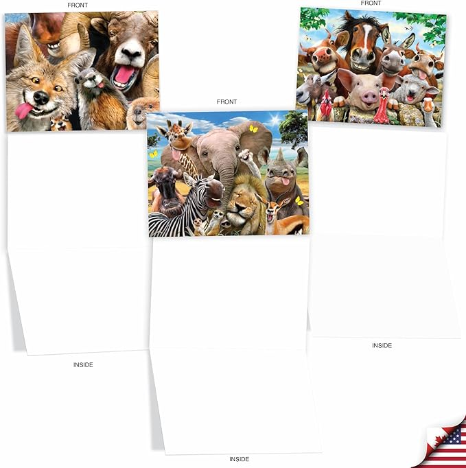 The Best Card Company - 20 Assorted Bulk Animal Cards Boxed (4 x 5.12 Inch) (10 Designs, 2 Each) - Here's Looking At Zoo AM6639OCB-B2x10
