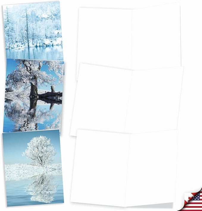 The Best Card Company - Box of 10 All Occasion Cards Blank (4 x 5.12 Inch) - Scenic Landscape Cards Assorted - Tree-flections AM6134OCB-B1x10-NB