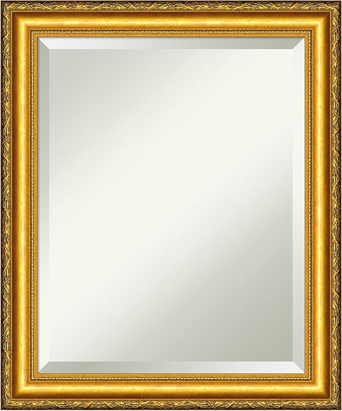 Amanti Art Gold Wall Mirror 24x20 Colonial Embossed Gold Rectangle Bathroom Mirror for Wall Decor Living Room, Small Traditional Wood Frame, Hangs Horizonally and Vertically, Bathroom Decor, Beveled