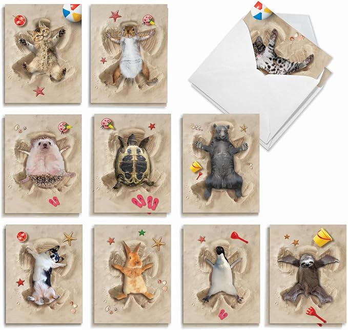 The Best Card Company - 20 Bulk Box Animal Note Cards Blank (4 x 5.12 Inch) - Funny Wildlife Assorted Notecard Pack with Envelopes (10 Designs, 2 Each) - Sand Angels AM6844OCB-B2x10