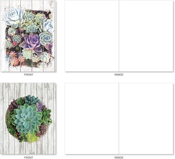 The Best Card Company - 20 Assorted Blank Plant Cards Boxed (4 x 5.12 Inch) (10 Designs, 2 Each) - Shiplap Succulents AM6438OCB-B2x10