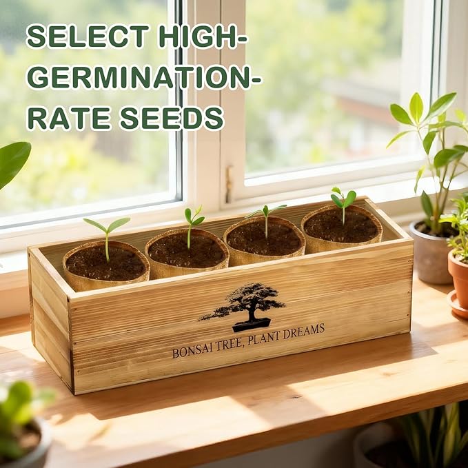 Bonsai Tree Kit, Complete Bonzai Tree Starter Kits with Tools, Valentines Day Gifts for Her Him, Unique Christmas Birthday Gardening Gifts for Women Mom Men Grandkids, Crafts Hobby Kits