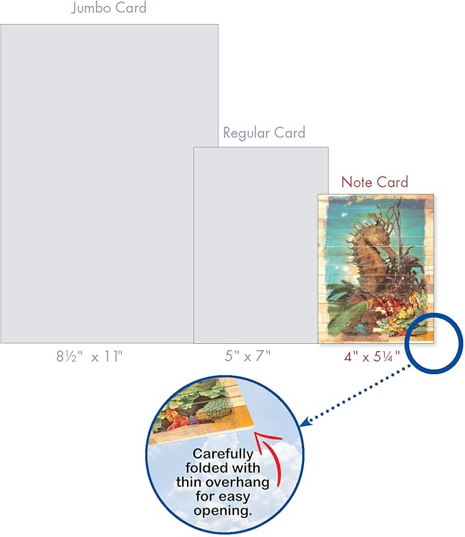The Best Card Company - 10 Blank Note Cards with Envelopes (4 x 5.12 Inch) - Bulk All Occasion Cards Boxed - Ocean Driftwood Transfers AM6331OCB-B1x10