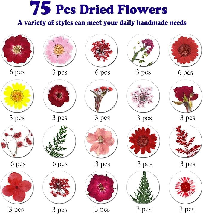 75 Pcs Red Dried Flowers Real Natural Pressed Leave Petals for DIY Resin Candle Jewelry Nail Pendant Crafts