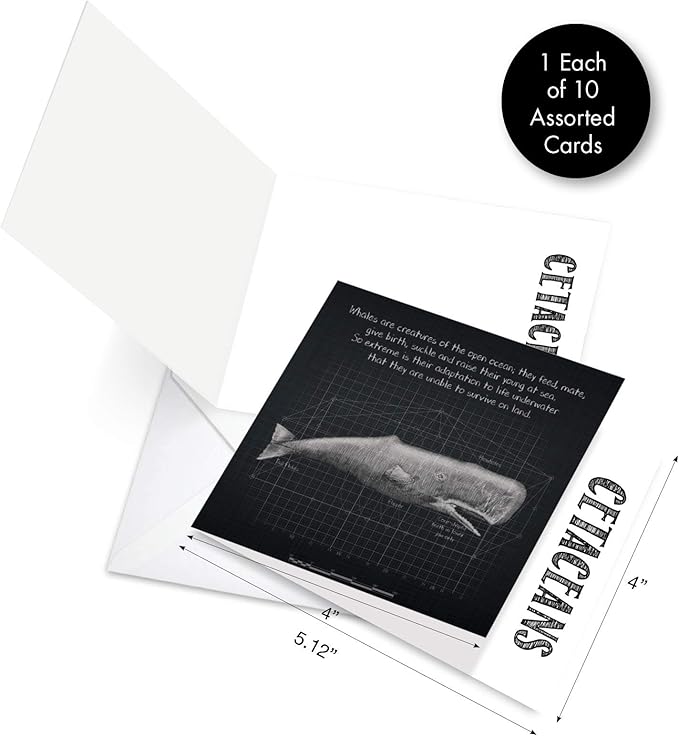 The Best Card Company - 10 Blank Note Cards with Envelopes (4 x 5.12 Inch) - Ocean Whale Images, Bulk Boxed Set - Whale Known MQ4960OCB-B1x10