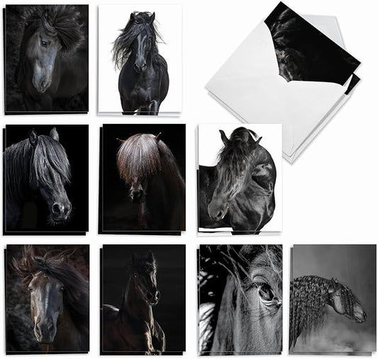 The Best Card Company - 20 Blank Horses Note Cards with Envelopes (4 x 5.12 Inch) - All Occasion Animal Black Horse Card Assortment (10 Designs, 2 Each) - Midnight Riders AM9510OCB-B2x10