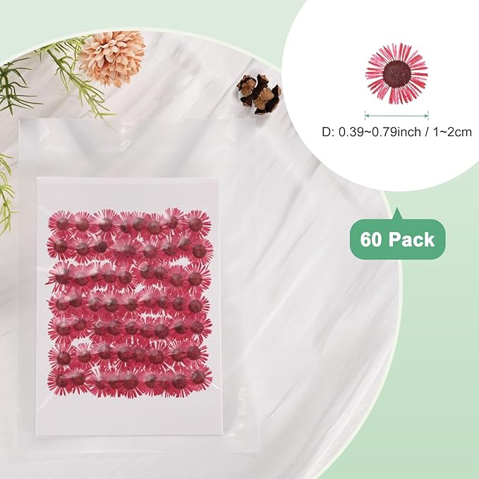 60-Pack Dried Pressed Flowers for Resin, Real Natural Bulk Dry Floral for Crafts/DIY Jewelry/Soap Making/Scrapbooking/Handmade Candle/Epoxy Resin Supplies [Red]