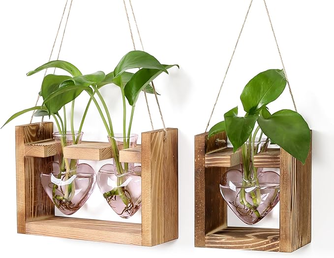 2+1 Plant Terrarium Plant Propagation Station Birthday Gifts for Women Home Office Decor with Wooden Stand