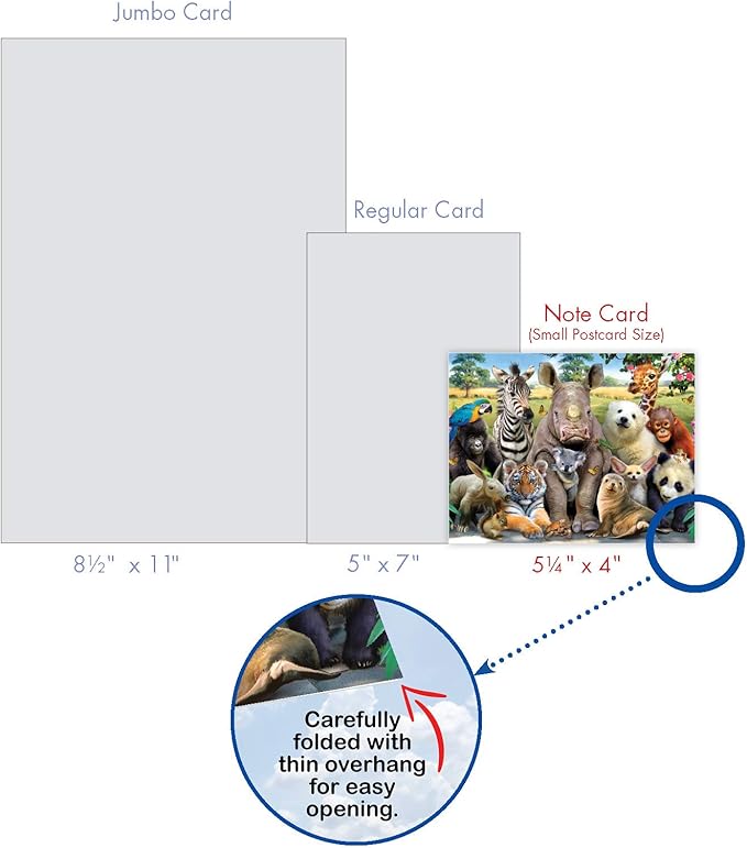The Best Card Company - 20 Assorted Bulk Animal Cards Boxed (4 x 5.12 Inch) (10 Designs, 2 Each) - Here's Looking At Zoo AM6639OCB-B2x10