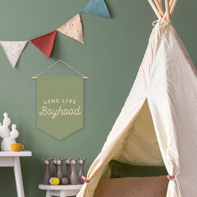 Long Live BoyHood Banner Sage Green Decor Boy Room Decor,Nursery Playroom Wall Decor For Boys Bedroom Toddler Decorations Teen Boy Room Decor,Wall Hanging Pennant Flag Banner 15x11in