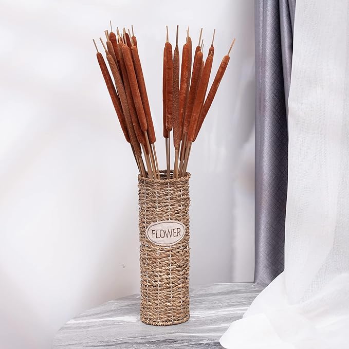 Dried Natural Cattails - 20PCS Jumbo Size for DIY Floral Arrangements and Home Office Decor - 0.75" Dia - 24 Inch Length