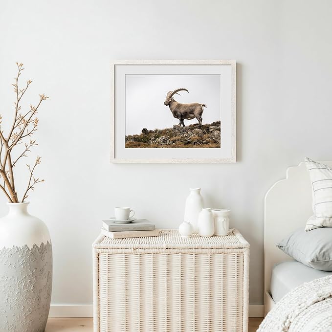20x24 Picture Frame with Mat for 16x20 Set of 3, Rustic White Wood Grain 20x24 Frame for Wall Mounting (3 Pack, White)