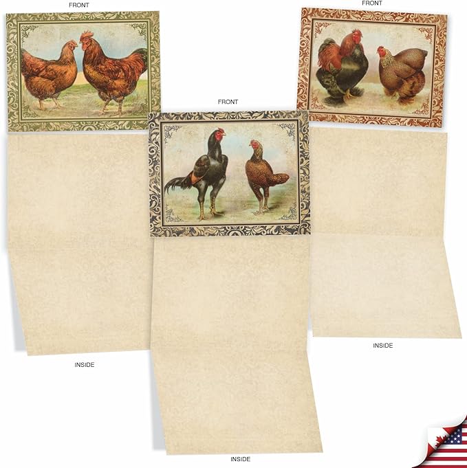 The Best Card Company - 10 Bird Note Cards Blank (4 x 5.12 Inch) - All Occasion Cards with Envelopes, Boxed Set - Card-A-Doodle-Do M2351OCB