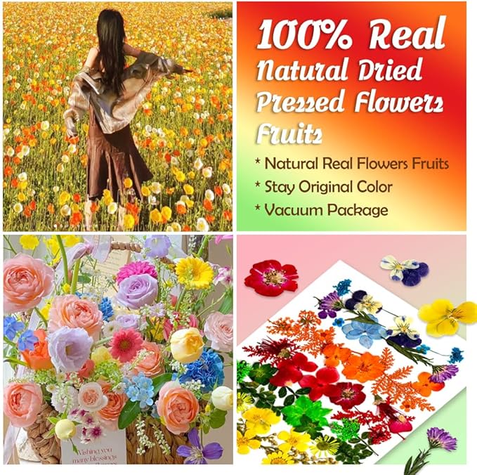 50 Pcs Rainbow-Colored Dried Pressed Flowers for Resin, Natural Dried Flowers Leaves, Real Herbs Kit for Scrapbooking DIY Art Crafts, Epoxy Jewelry, Candle, Soap Making, Nails Decor