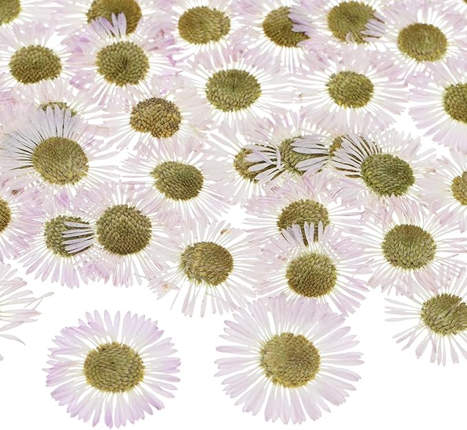 12-Pack Dried Pressed Flowers for Resin, Real Natural Bulk Dry Floral for Crafts/DIY Jewelry/Soap Making/Scrapbooking/Candle/Epoxy Resin Supplies/Photo Frames [White]