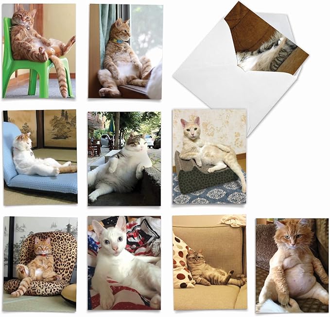 The Best Card Company - 10 All Occasion Blank Cat Cards (4 x 5.12 Inch) - Cute Assorted Bulk Card Set - Sitting Pretty Kitties M4613OCB-B1x10