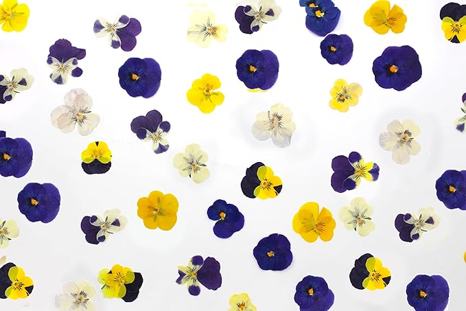 48 Pcs Mixed Pansy Dried Pressed Flowers for Crafts,Real Nature Dry Flower Bulk for Resin Jewelry Making Candle Making Frame Decoration Art Floral Decors