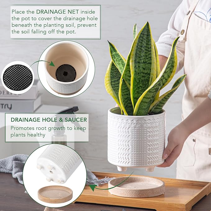 Indoor-Outdoor Ceramic Plant Pots: 6 Inch Flower Pots with Drainage Hole & Saucer - Decorative Ceramic Pots for Plants Herbs Succulents - Home Garden Patio Lawn Use (White)