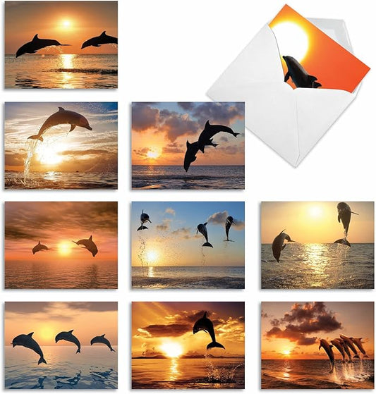 The Best Card Company - 10 Blank Animal Cards Boxed (4 x 5.12 Inch) - Assorted Pets, Zoo, Wildlife Cards for Kids - Sunset Dolphins M6460OCB-NB