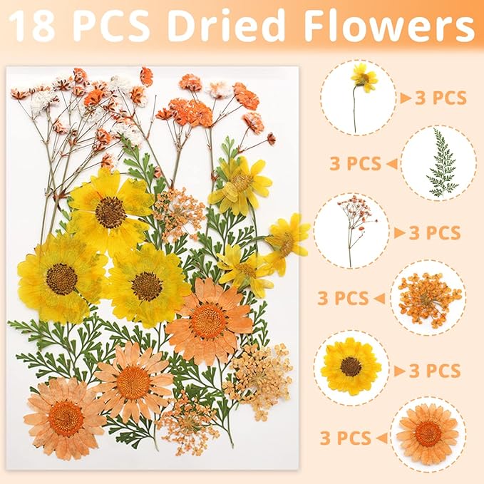Cinvo 54 Pcs Real Dried Pressed Flowers and Leaves Natural Dried Petals Greenery with Tweezer for Candle Resin Jewelry Soap Nail Pendant Phone Case Crafts Making Floral Decors DIY Embellishments