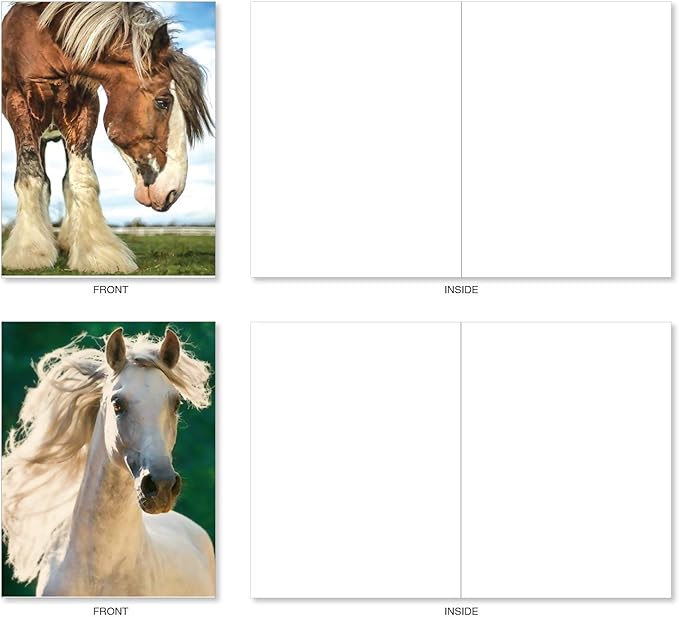 The Best Card Company - 20 Blank Note Cards with Envelopes (4 x 5.12 Inch) - All Occasion Animal Card Assortment (10 Designs, 2 Each) - Horses | Magnificent Manes AM4601OCB-B2x10