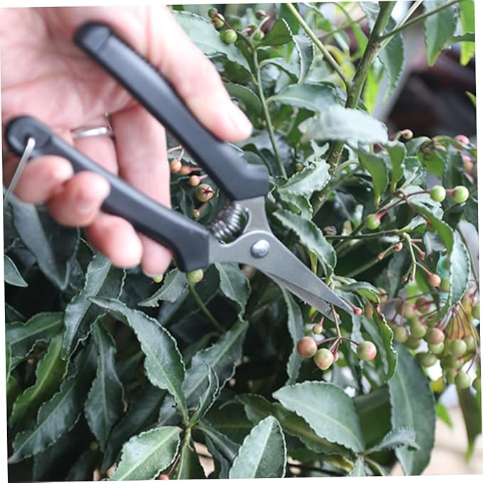 Mini Garden Tool Set, 9Pcs Transplanting Tools for Indoor & Outdoor Plant Care