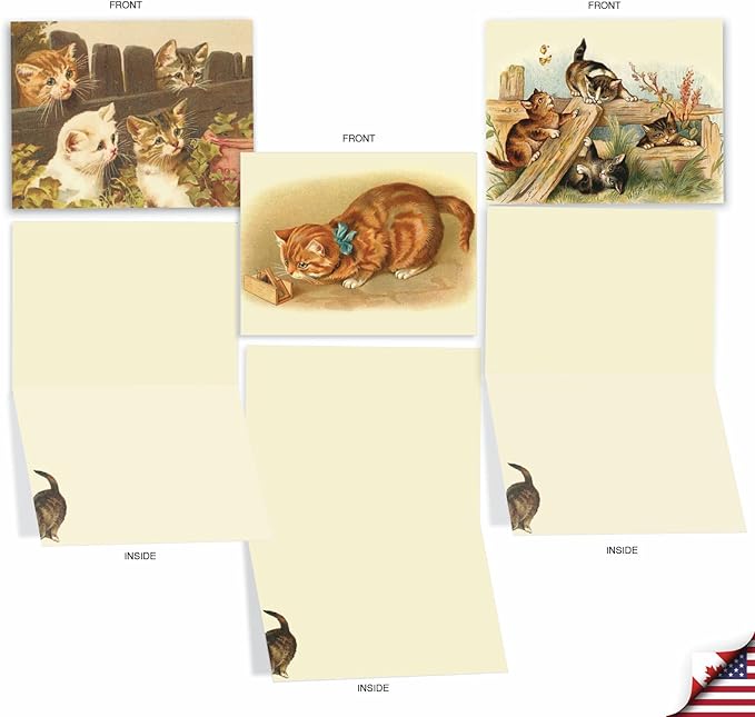 The Best Card Company - 10 Adorable Blank Cat Cards (4 x 5.12 Inch) - Cute Pet Kittens, Assorted Bulk Notecard Set - Cutey Cats M1732BN