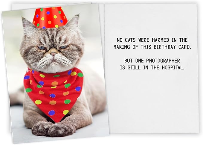 Funny Cat Birthday Card for Women, Men, Coworkers, Friends & Family - no cats were harmed in the making of this card.