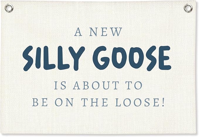 Silly Goose Kids Room Decor, A New Silly Goose Linen Canvas Banner, Blue Goose Nursery Wall Hanging for Boys Girls Room, Playroom Decor Banner Nursery Wall Art Boy Playroom Decor, 30x20 Inch