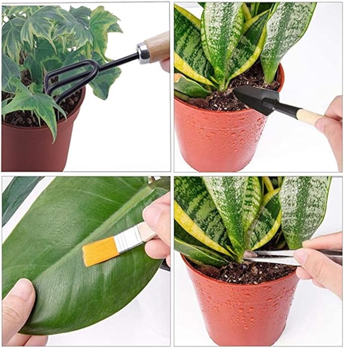 Kisangel 10Pcs Bonsai Gardening Tool Mini Succulent Planting Kit Hand Transplanting Accessories for Indoor Garden Care