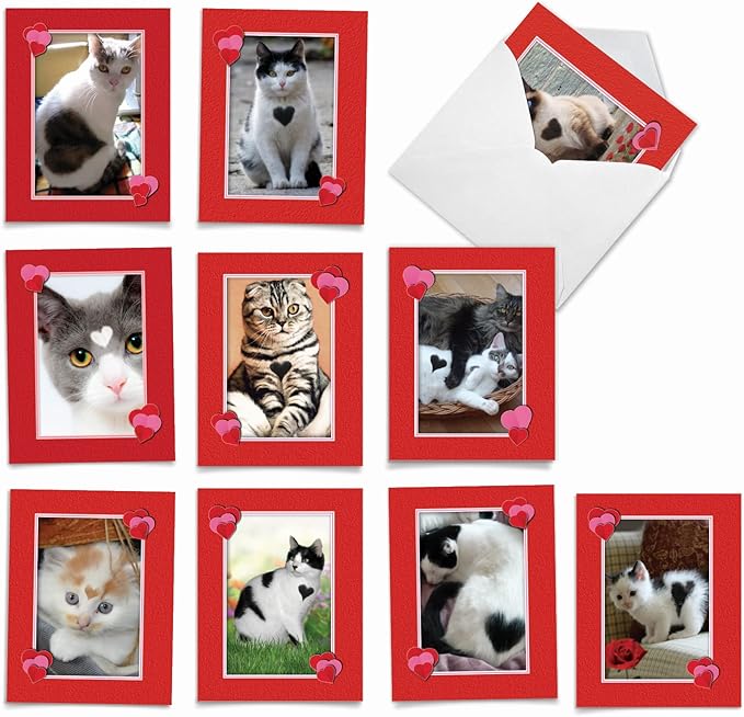 The Best Card Company - 10 All Occasion Blank Cat Cards (4 x 5.12 Inch) - Cute Assorted Bulk Card Set - Heartfelt Cats M5658OCB-B1x10