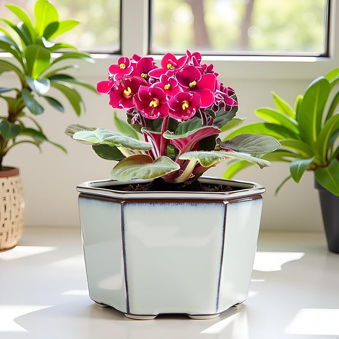 African Violet Pots 6 inch Hexagon Self-Watering Ceramic Violet Pots 4.50'' Opening (Cream White)