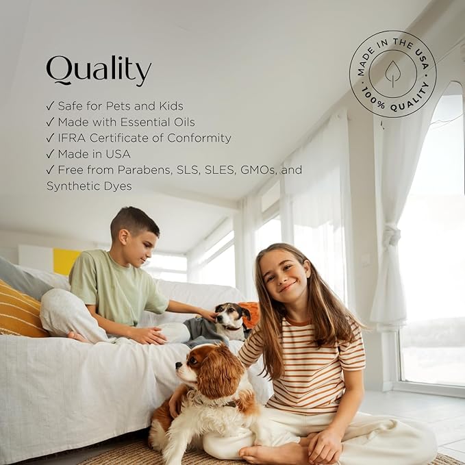 Miami Scent Oil for Diffusers, Inspired by My Way | 1 Hotel, 2 Fl Oz (60ml), Luxury Aroma for Hotel, Home, Office, Spa, Aromatherapy, Made USA, Long Lasting, Kids & Pets Friendly
