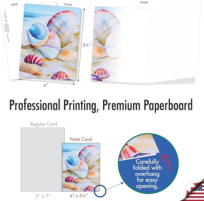 The Best Card Company 20 Assorted Blank Notecards Box Set 4 x 5.12 Inch with Envelopes (10 Designs, 2 Each) Rainbow Seashells AM10040OCB-B2x10