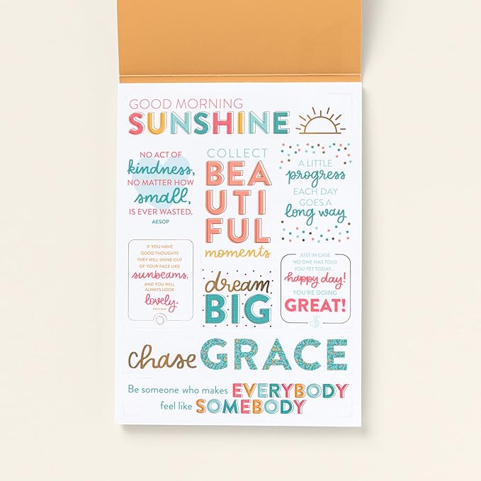 PPP Home Planner Sticker Book 3rd Ed | Pack of 15 | 766 Total Stickers | Assorted Sizes | 5x7 Sheets | Gold Foil Stamping | Fun Stickers for Home Planners, Money Planner, Journals