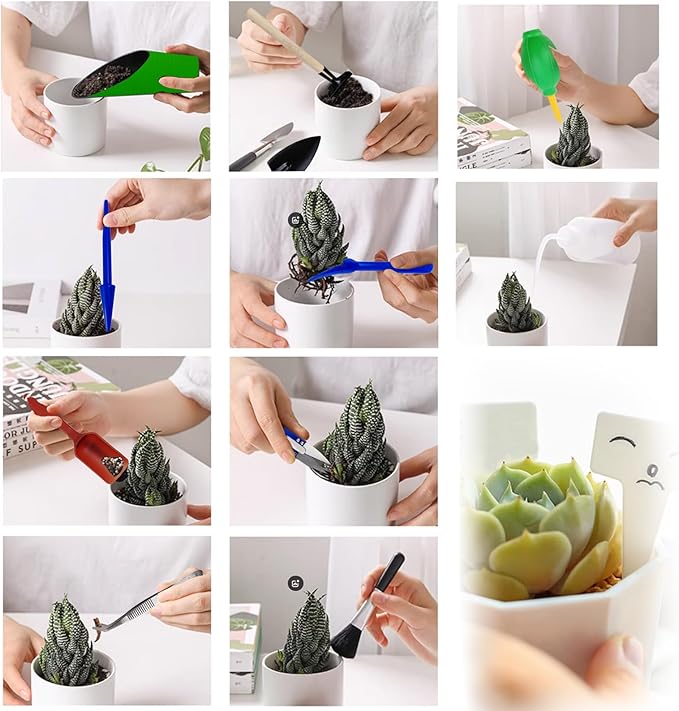 GXXMEI 20PCS/Set Succulent Tools Set, Mini Garden Tool Set, Transplanting Tools Set, Succulent Care Kit for Succulent Miniature Gardening Plant