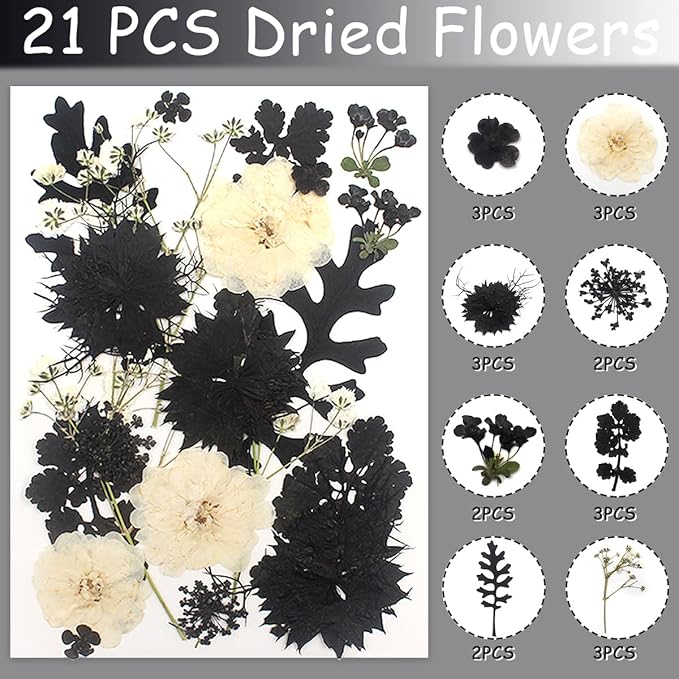 Real Dried Pressed Leaves Natural Dried Leaf for Candle Resin Jewelry Soap Nail Pendant Phone Case Crafts Making Floral Decors Scrapbooking DIY (63 Pcs Black Dried Leaves)