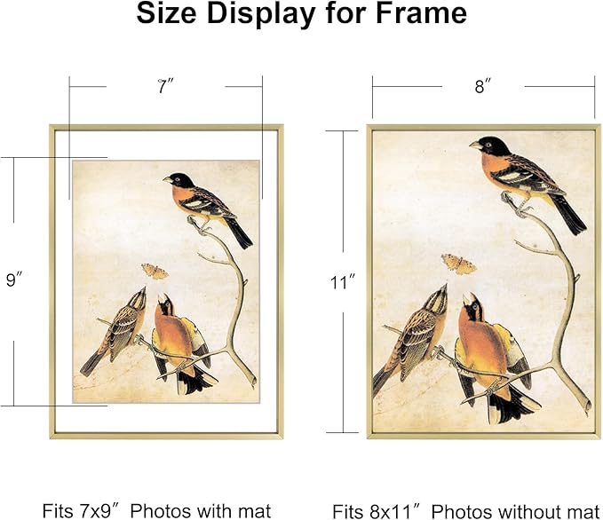 8x11 Picture Frame, Brass Aluminum Metal Photo Frames with HD Glass, Fits 7x9 with Mat or 8 x 11 without Mat, Display for Wall and Table