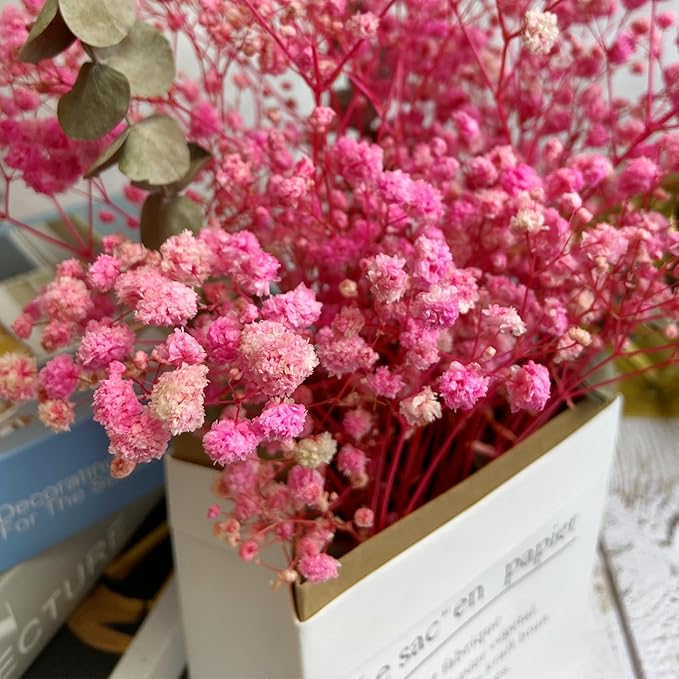 L'BREVOGA Dried Flower Bouquets, Preserved Pink Baby's Breath with Eucalyptus for Decoration Floral Arrangement Home Party (Baby's Breath Pink)