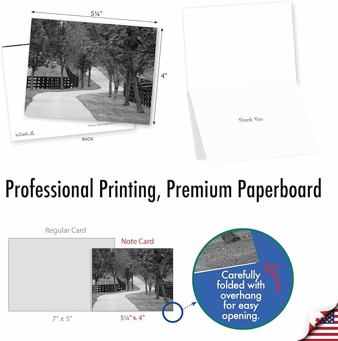 The Best Card Company - Box of 10 All Occasion Cards Blank (4 x 5.12 Inch) - Scenic Landscape Cards Assorted - Tree Lines M3313-NB