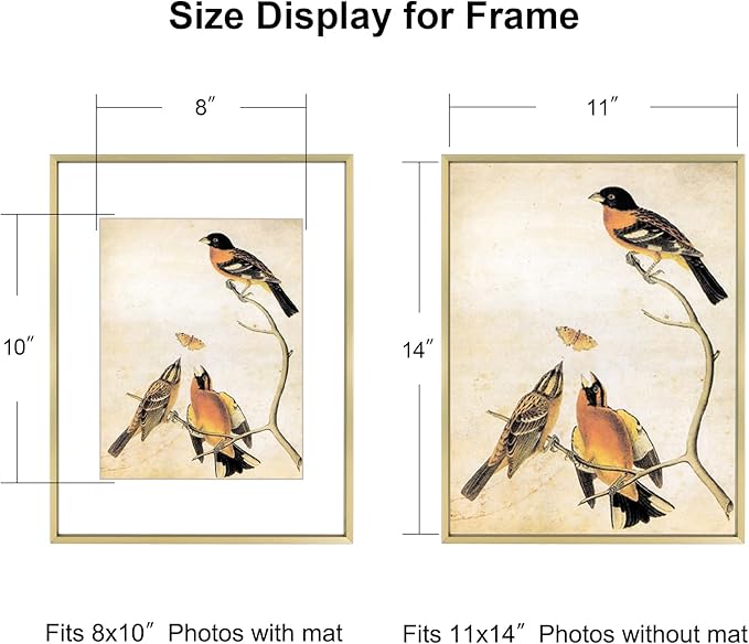 11x14 Picture Frame Set of 3, Brass Metal Photo Frames with HD Glass, Fits 8x10 with Mat or 11 x 14 without Mat, Display for Wall