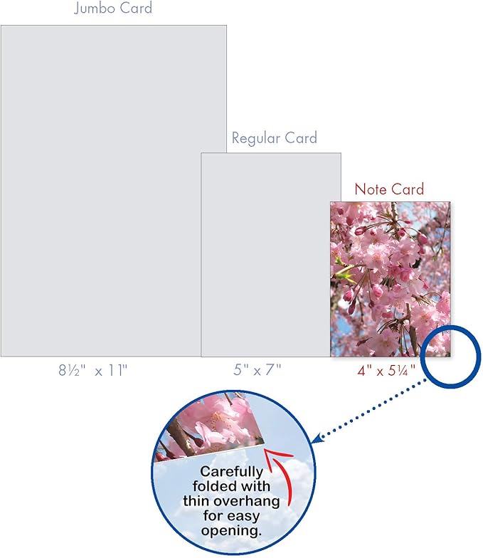 The Best Card Company - 10 Blank Note Cards with Flowers (4 x 5.12 Inch) - Floral Notecards, All Occasion Boxed Assortment - Cherry Blossoms AM6861OCB-B1x10