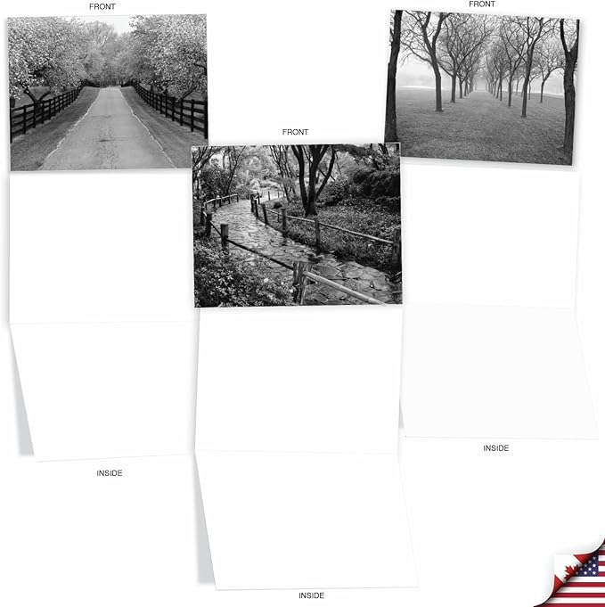 The Best Card Company - Box of 10 All Occasion Cards Blank (4 x 5.12 Inch) - Scenic Landscape Cards Assorted - Tree Lines M3313-NB