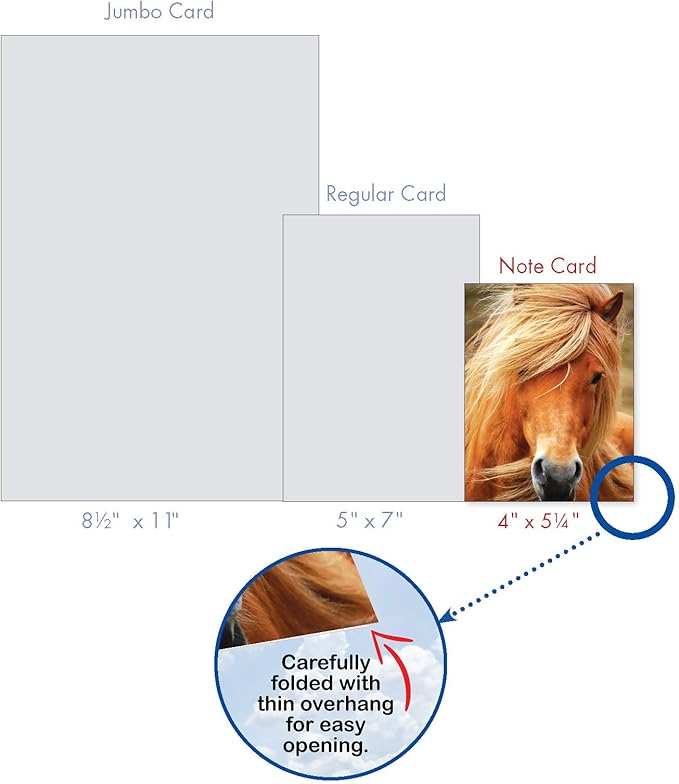 The Best Card Company - 20 Blank Note Cards with Envelopes (4 x 5.12 Inch) - All Occasion Animal Card Assortment (10 Designs, 2 Each) - Horses | Magnificent Manes AM4601OCB-B2x10