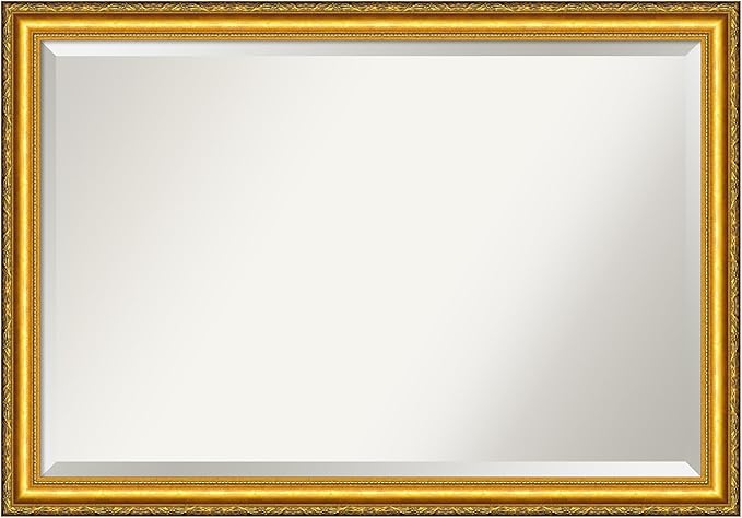Amanti Art Gold Wall Mirror 28x40 Colonial Embossed Gold Rectangle Bathroom Mirror for Wall Decor Living Room, Large Traditional Wood Frame, Hangs Horizonally and Vertically, Bathroom Decor, Beveled