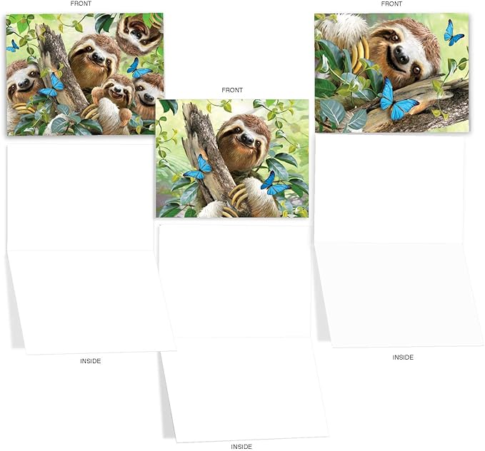 The Best Card Company - 10 Blank Animal Cards Boxed (4 x 5.12 Inch) - Assorted Pets, Zoo, Wildlife Cards - Smiling Sloths AM6864OCB-B1x10