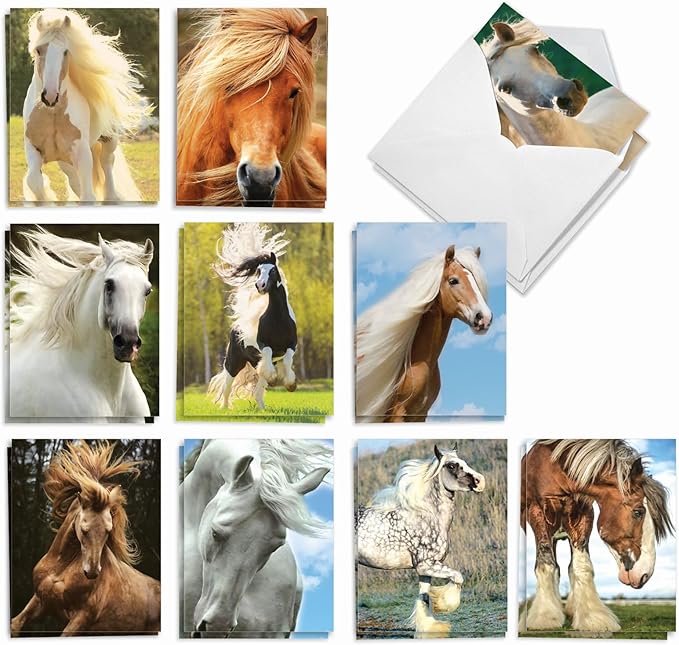 The Best Card Company - 20 Blank Note Cards with Envelopes (4 x 5.12 Inch) - All Occasion Animal Card Assortment (10 Designs, 2 Each) - Horses | Magnificent Manes AM4601OCB-B2x10