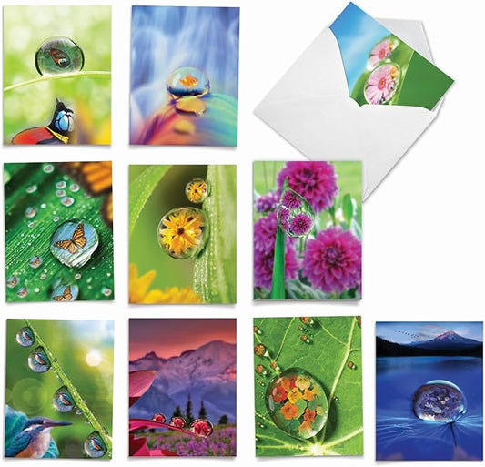 The Best Card Company - 10 Blank Note Cards (4 x 5.12 Inch) - Fun Pets, Zoo, Wildlife Cards, Assorted Greetings Boxed - Waterdrop Beauty AM6111OCB-B1x10