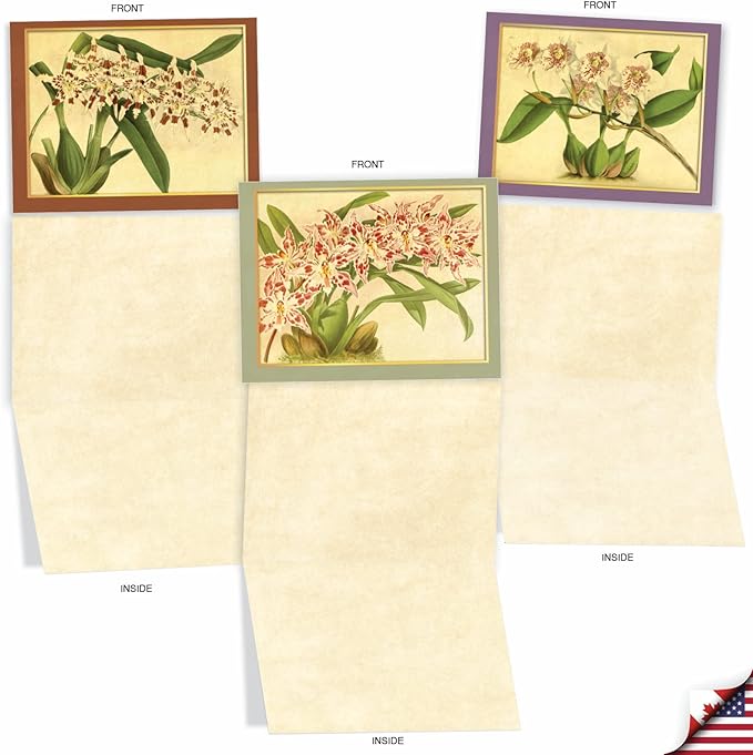 The Best Card Company - 10 Boxed Note Cards with Flowers - Blank Assorted Floral Notecards Bulk (4 x 5.12 Inch) - Tiger Orchids M10037BK